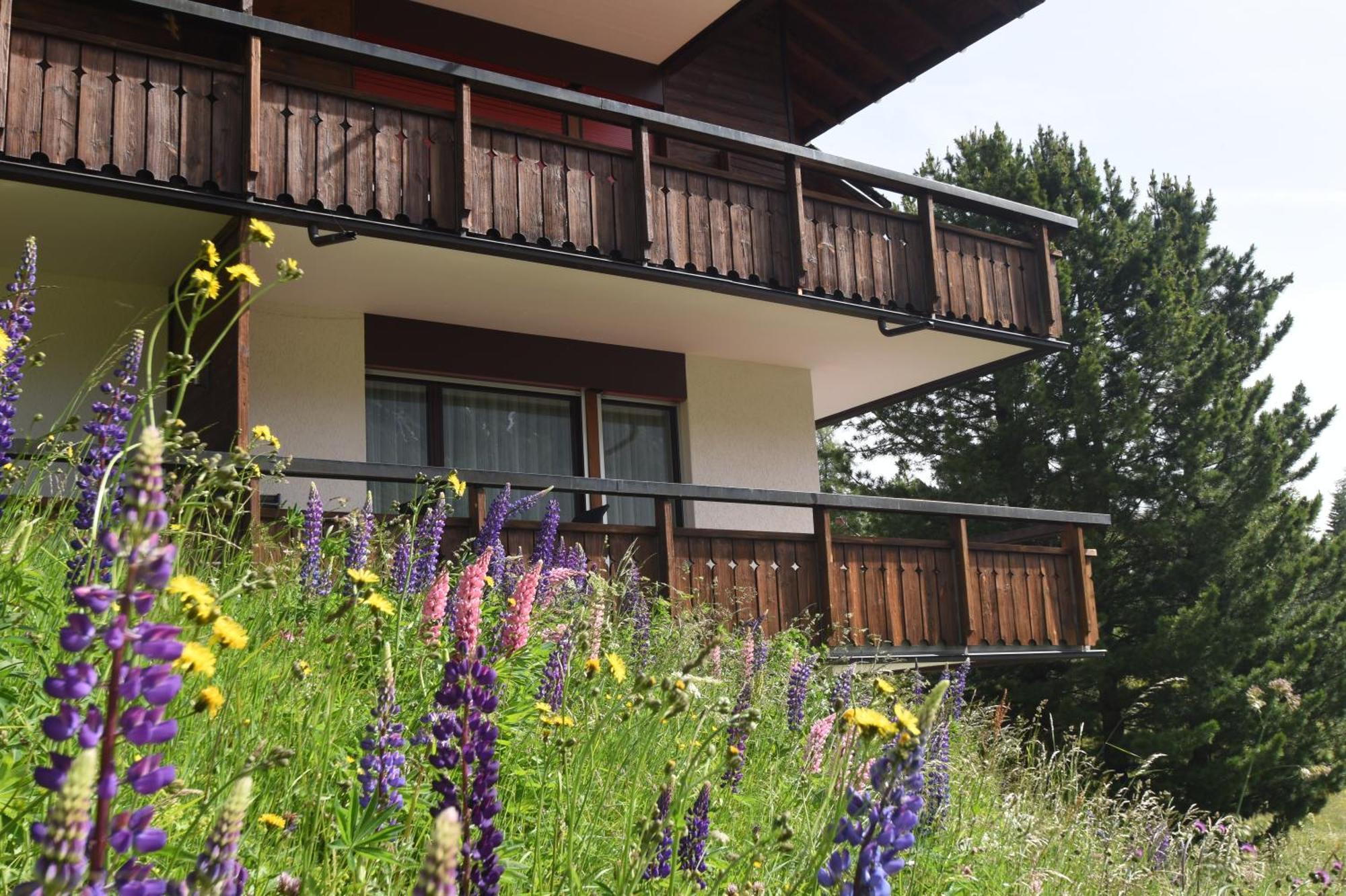 ארוזה Chalet Christina 7 מראה חיצוני תמונה